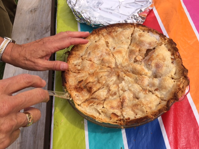 Garden Potluck Pie